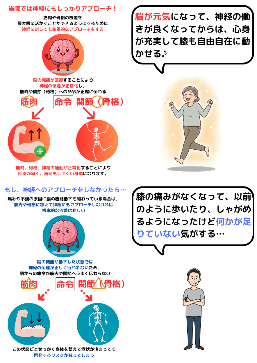 脳の機能回復の重要性